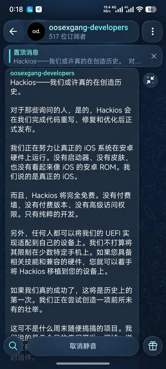 演示截图:关于本机 / 系统信息(X 流传)
