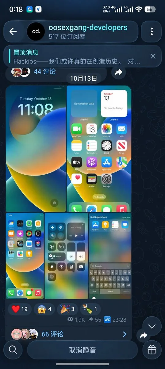 演示截图:iOS 主屏幕界面(X 流传)